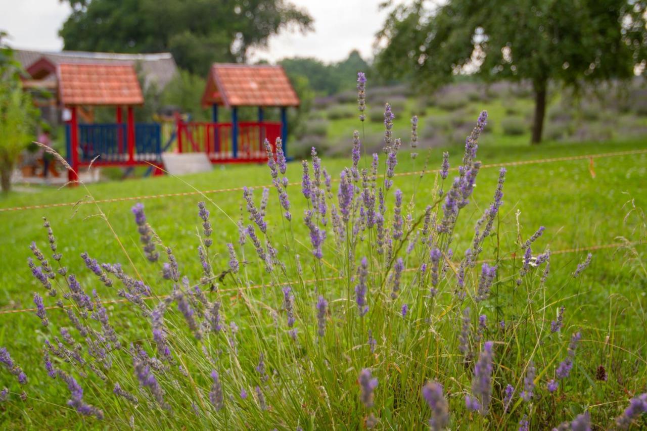 Lavanda Farm Apartmani Rakovica Zewnętrze zdjęcie