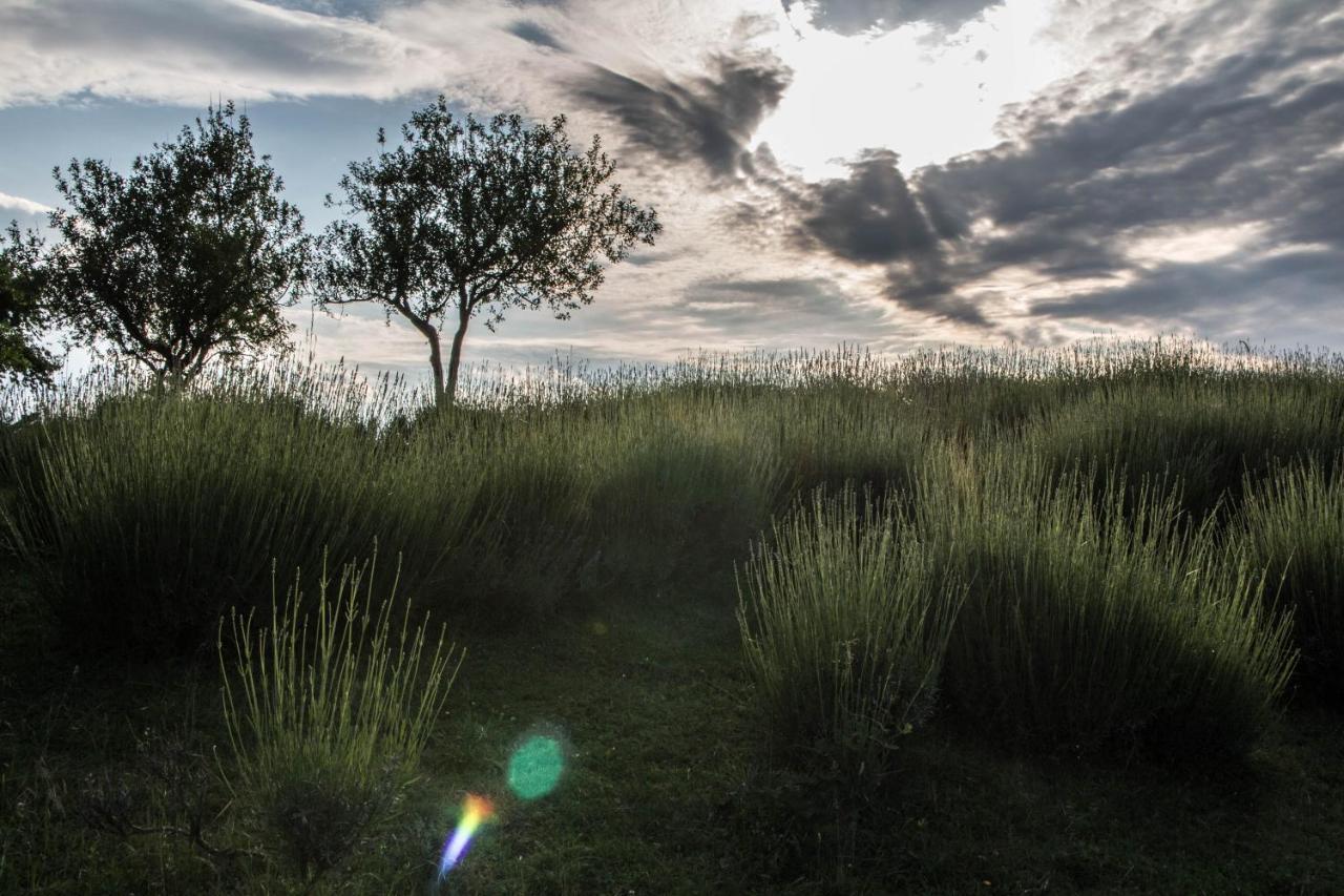 Lavanda Farm Apartmani Rakovica Zewnętrze zdjęcie