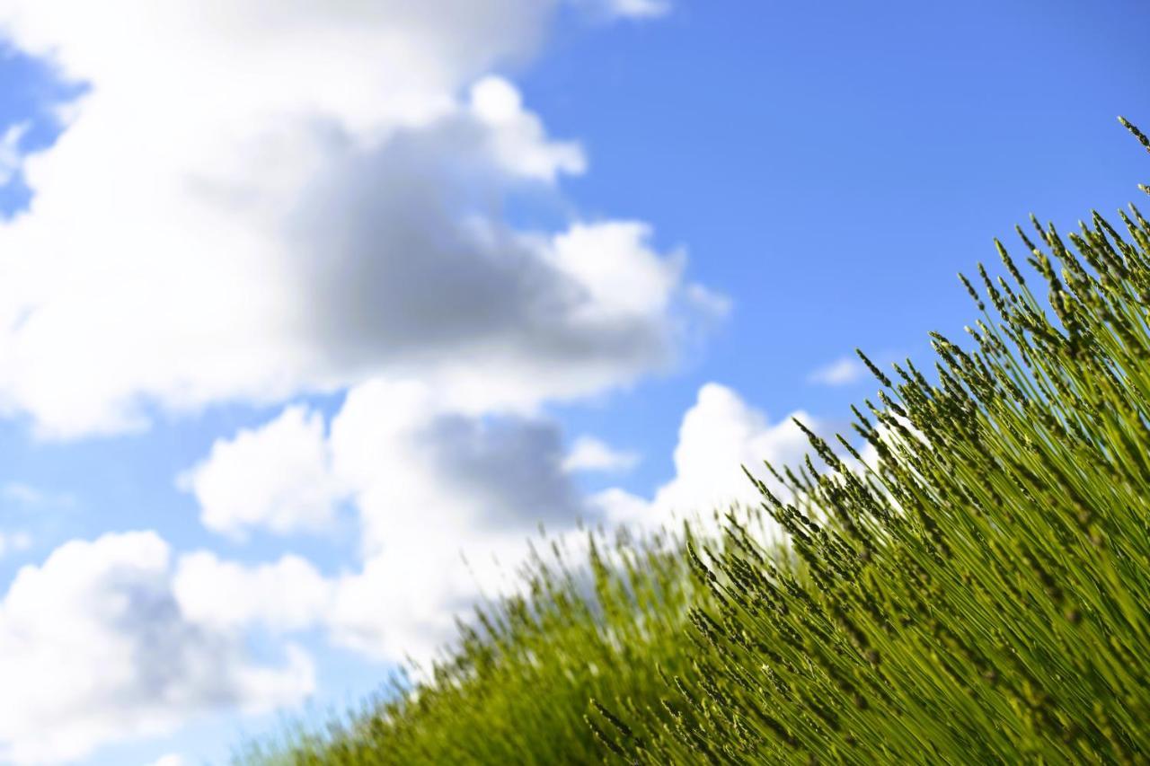 Lavanda Farm Apartmani Rakovica Zewnętrze zdjęcie