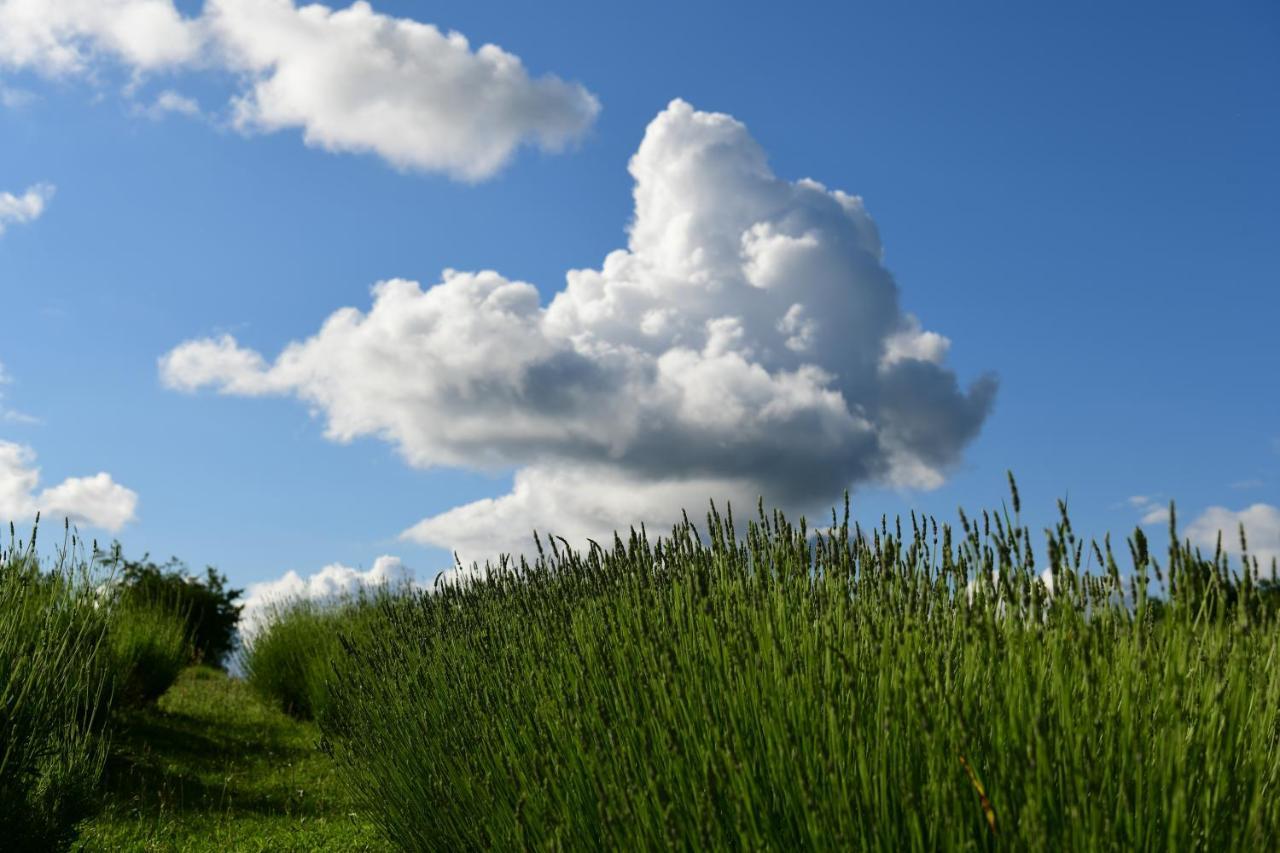 Lavanda Farm Apartmani Rakovica Zewnętrze zdjęcie