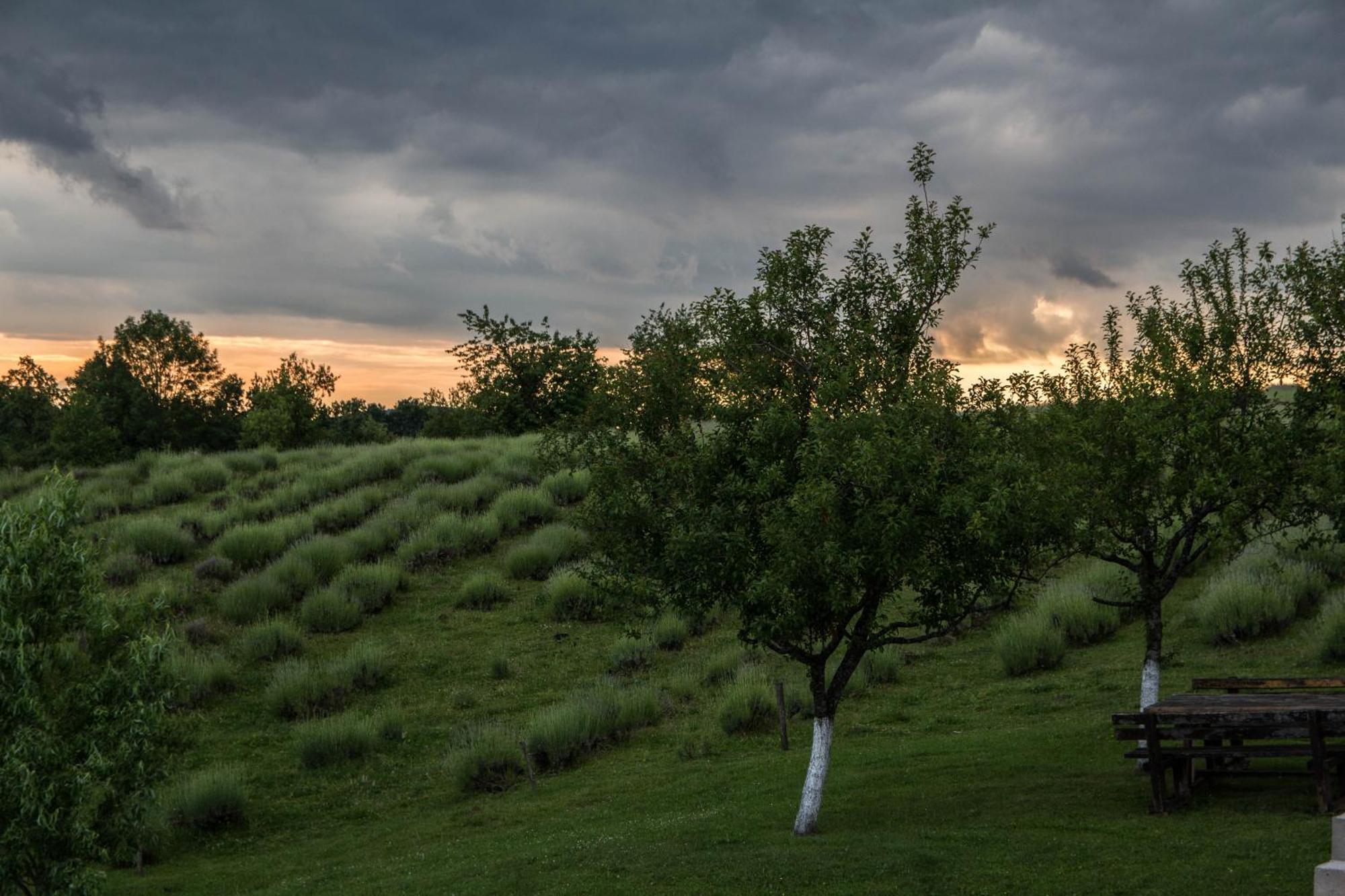 Lavanda Farm Apartmani Rakovica Zewnętrze zdjęcie