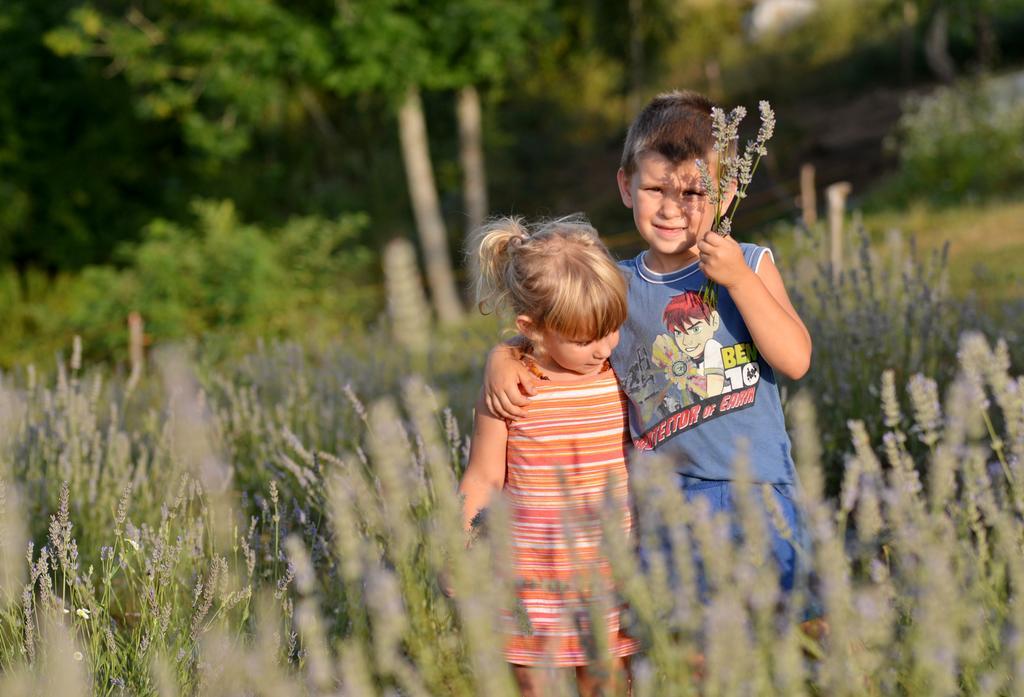 Lavanda Farm Apartmani Rakovica Zewnętrze zdjęcie