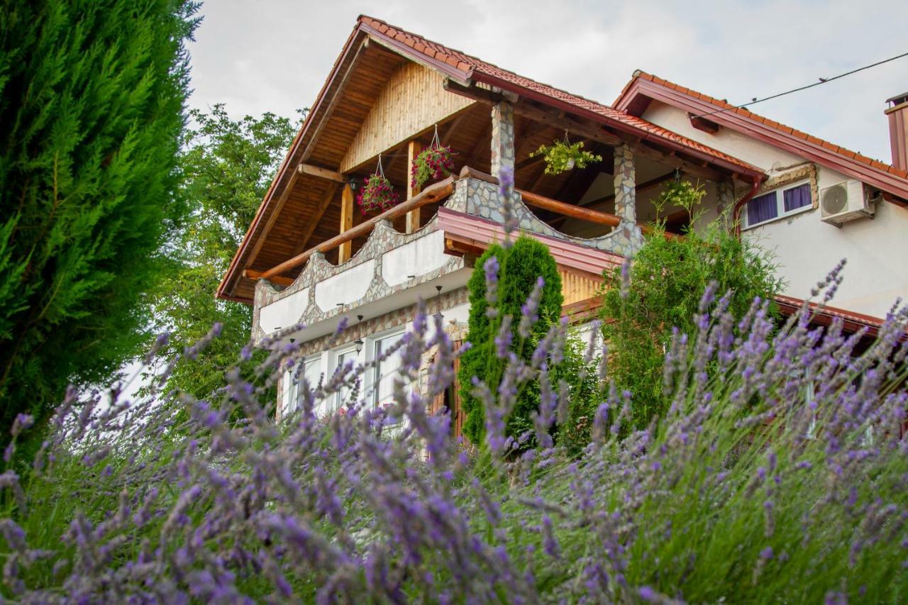 Lavanda Farm Apartmani Rakovica Zewnętrze zdjęcie