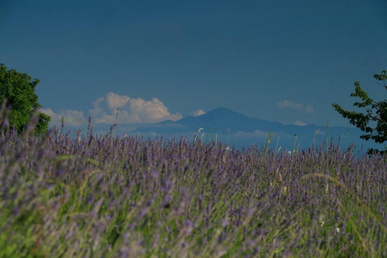 Lavanda Farm Apartmani Rakovica Zewnętrze zdjęcie