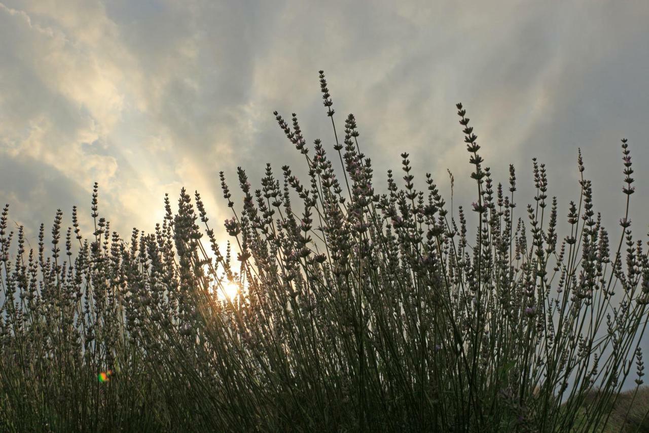 Lavanda Farm Apartmani Rakovica Zewnętrze zdjęcie