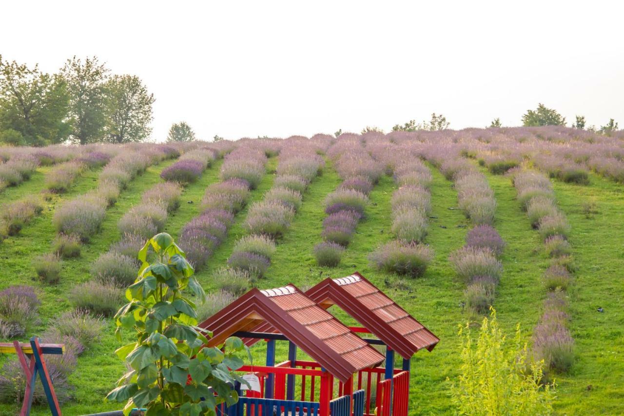 Lavanda Farm Apartmani Rakovica Zewnętrze zdjęcie