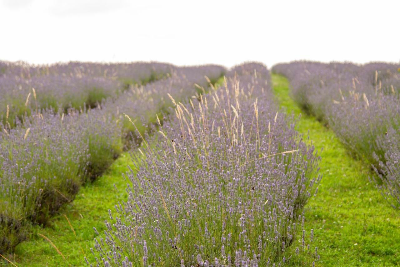 Lavanda Farm Apartmani Rakovica Zewnętrze zdjęcie