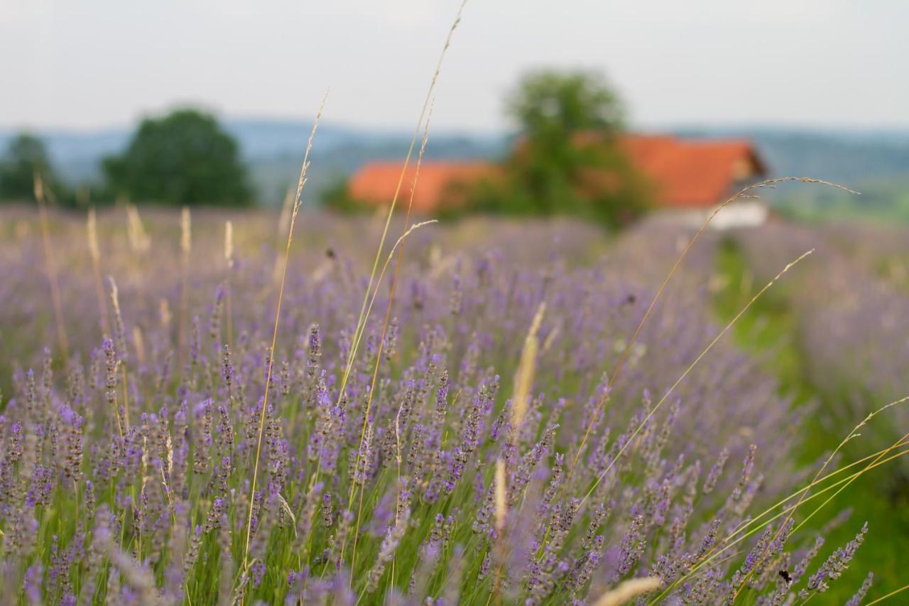 Lavanda Farm Apartmani Rakovica Zewnętrze zdjęcie